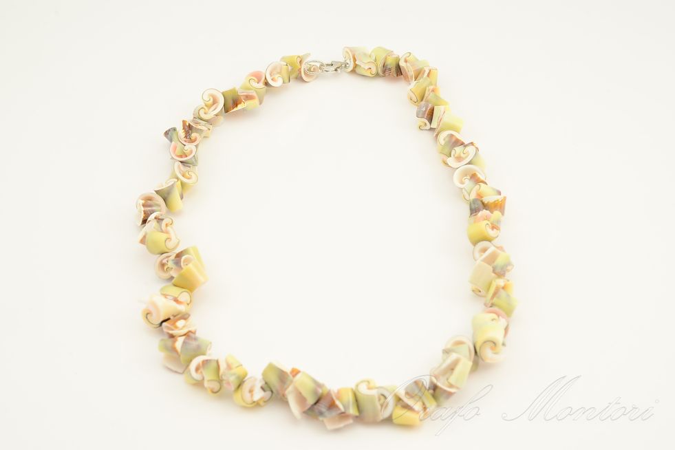 collana conchiglia